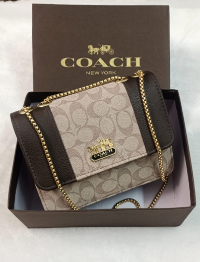 Coach Signature Chain Bag